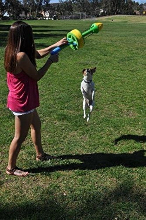 Quickly Exercise Your Dog: Value Pack Flying Ring Launcher & 6 EVA Foam Rings