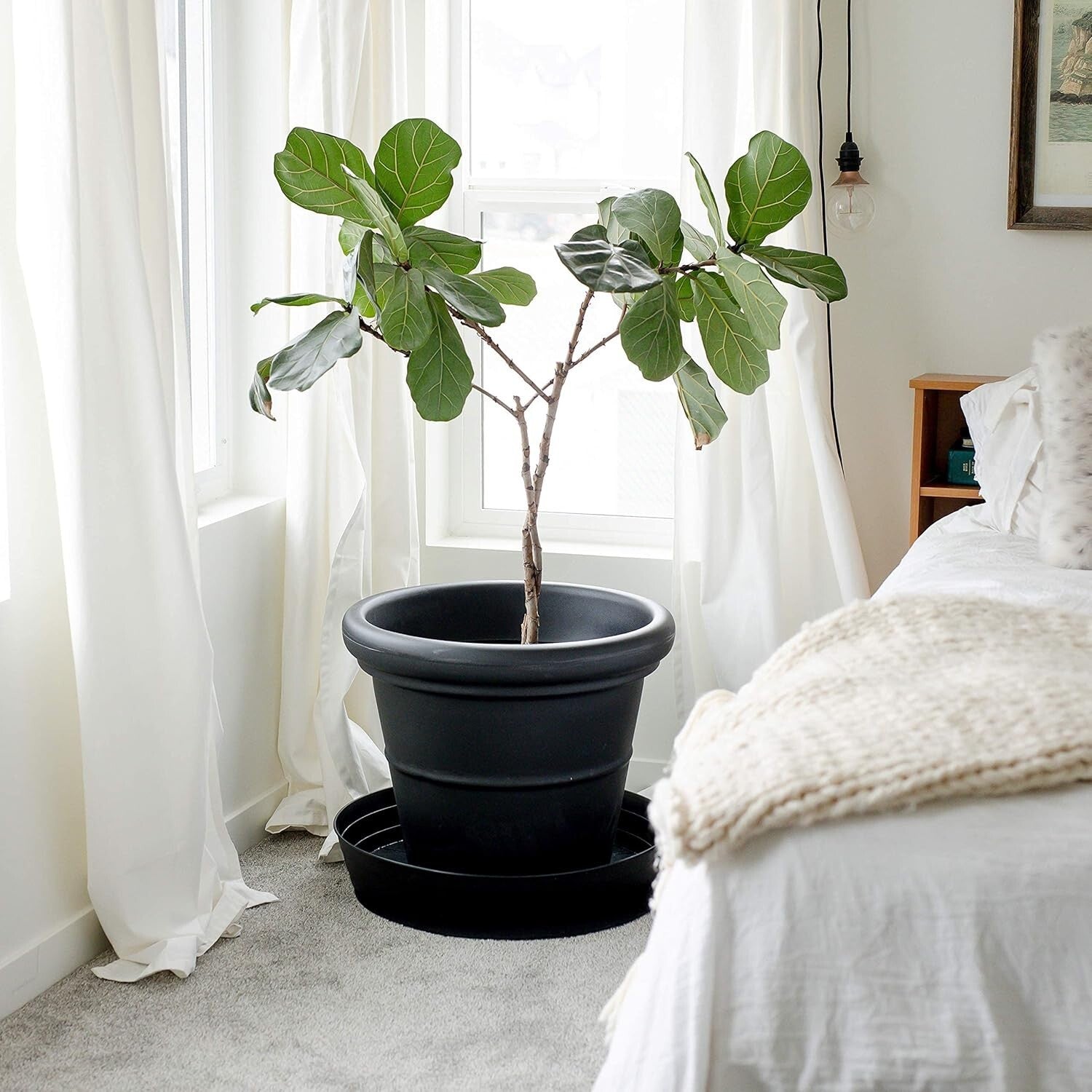 Stylish 25" Round Plant Tray with Deep Water Retention and Felt Protection