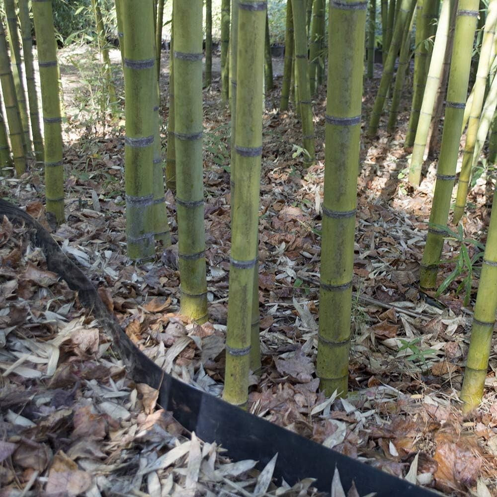 25ft x 24in x 60mil High-Density Bamboo Root Barrier for Effective Containment