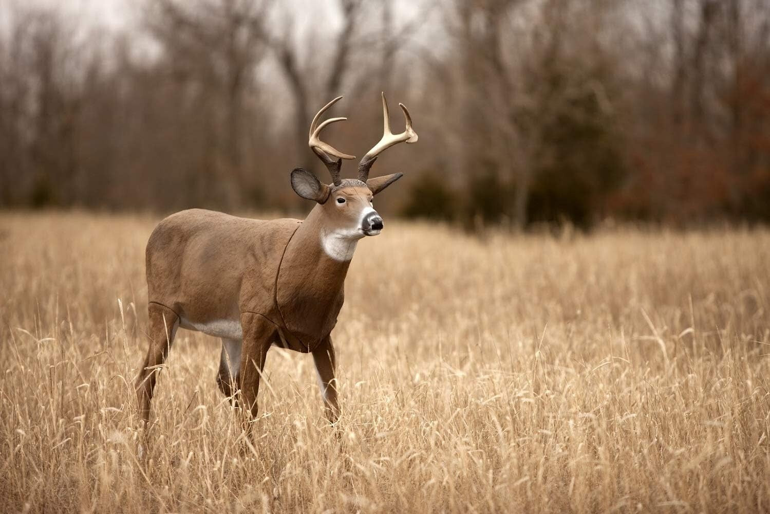 50-Inch Boss Buck Deer Decoy - Durable Hunting Companion for Attracting Game