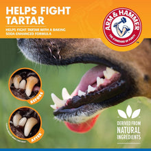 Load image into Gallery viewer, Convenient Dental Water Additive for Dogs - 24 x 16 fl oz, No Brushing Needed