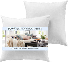 Load image into Gallery viewer, Set of 2 - 22x22 White Feather Down Decorative Pillow Inserts - Soft &amp; Washable