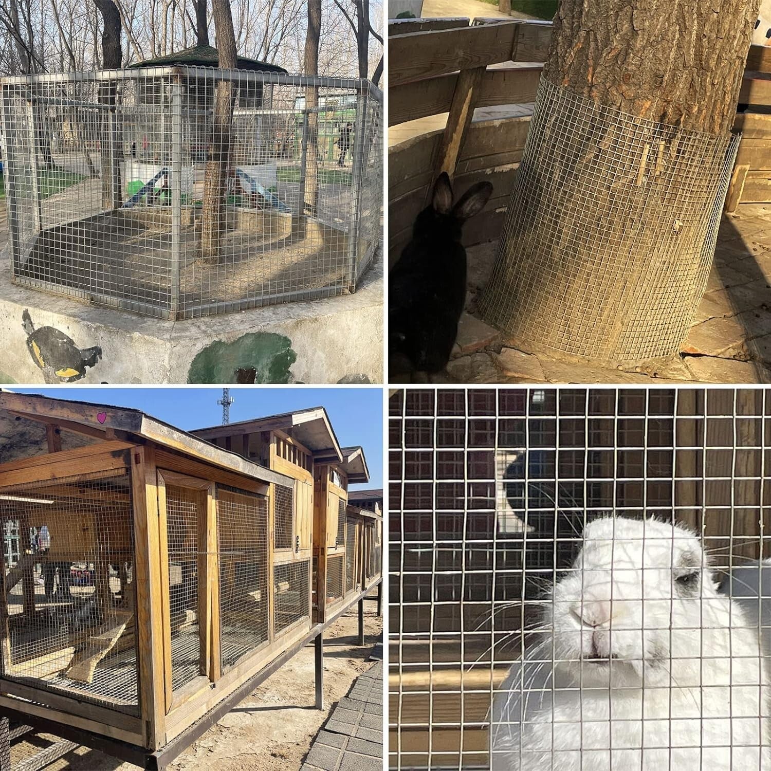 Premium 36''x50' Galvanized Wire Cloth Roll - Ideal for Chicken Coops & Gardens