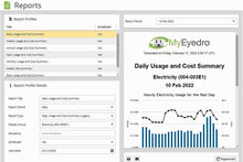 Load image into Gallery viewer, Indoor Electricity Monitor with 2 x 200A Sensors - WiFi/Ethernet Connect