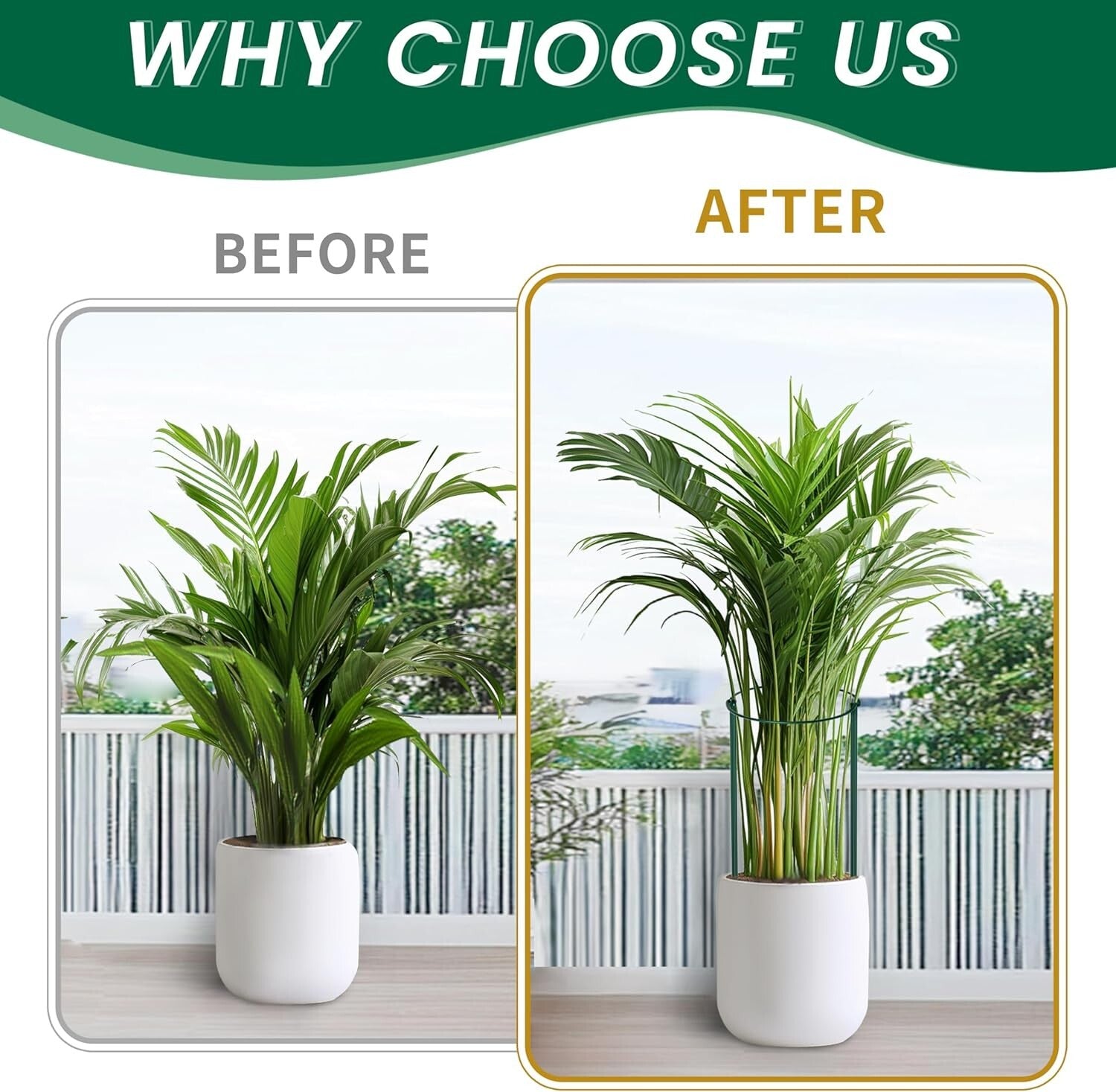 20 Pack Metal Plant Supports - 10" Wide x 24" High Interlocking Garden Cages