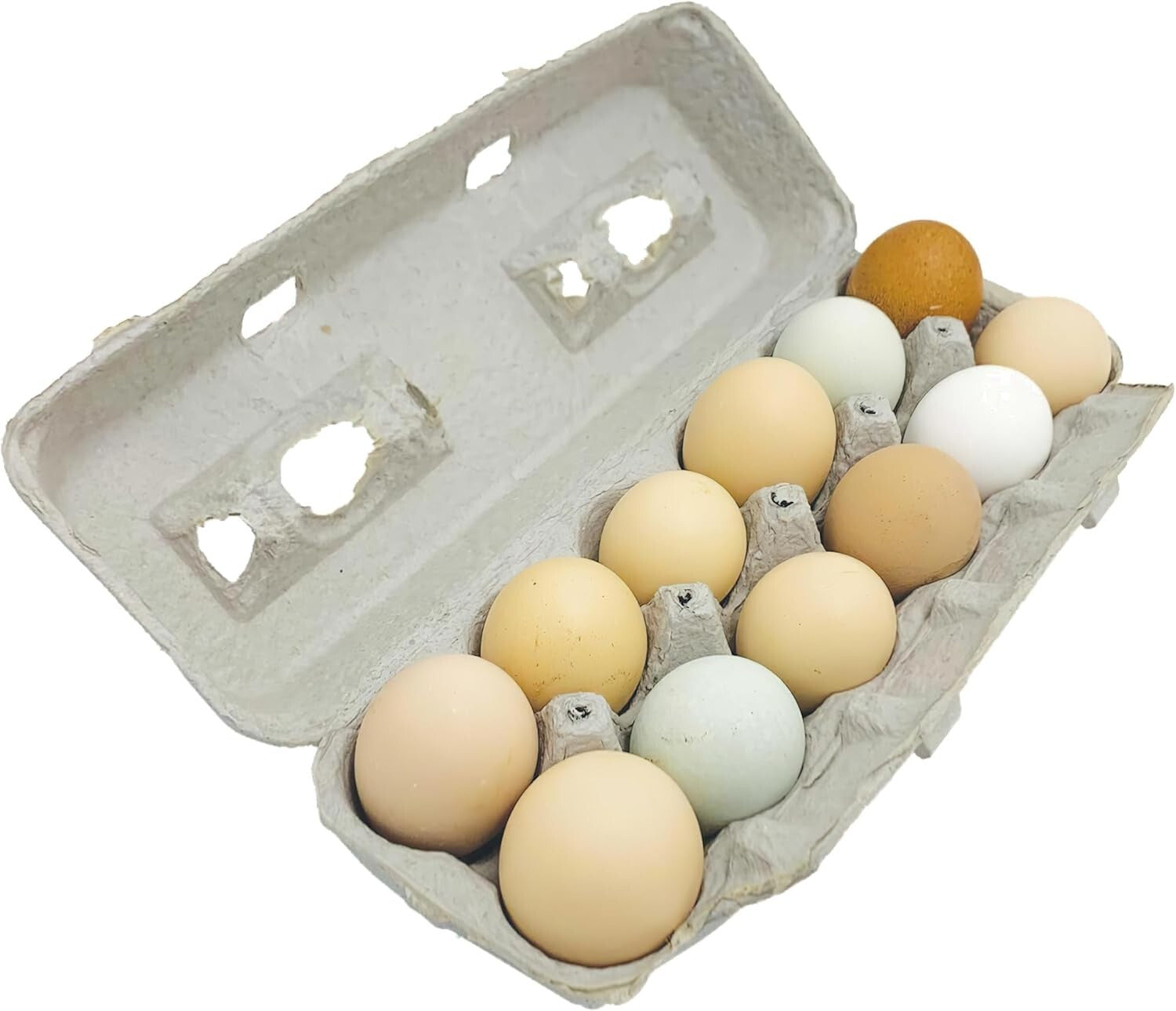 Large Capacity Egg Cartons - 250 Pack with Flip Top Closure, Ideal for Branding