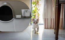 Load image into Gallery viewer, Regular Size Grey Self-Cleaning Litter Box - Quick Waste Disposal Solution