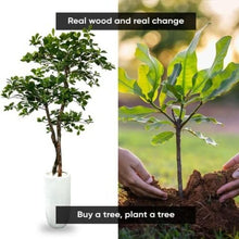 Load image into Gallery viewer, Natural-Looking 5ft Black Olive Leaf Tree - Supporting Sustainability Efforts