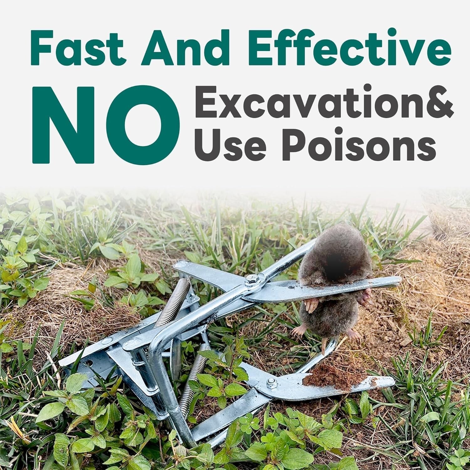 Fast-Acting 2 Pack Mole Traps - Rust-Proof Scissor Design for Quick Pests Kill