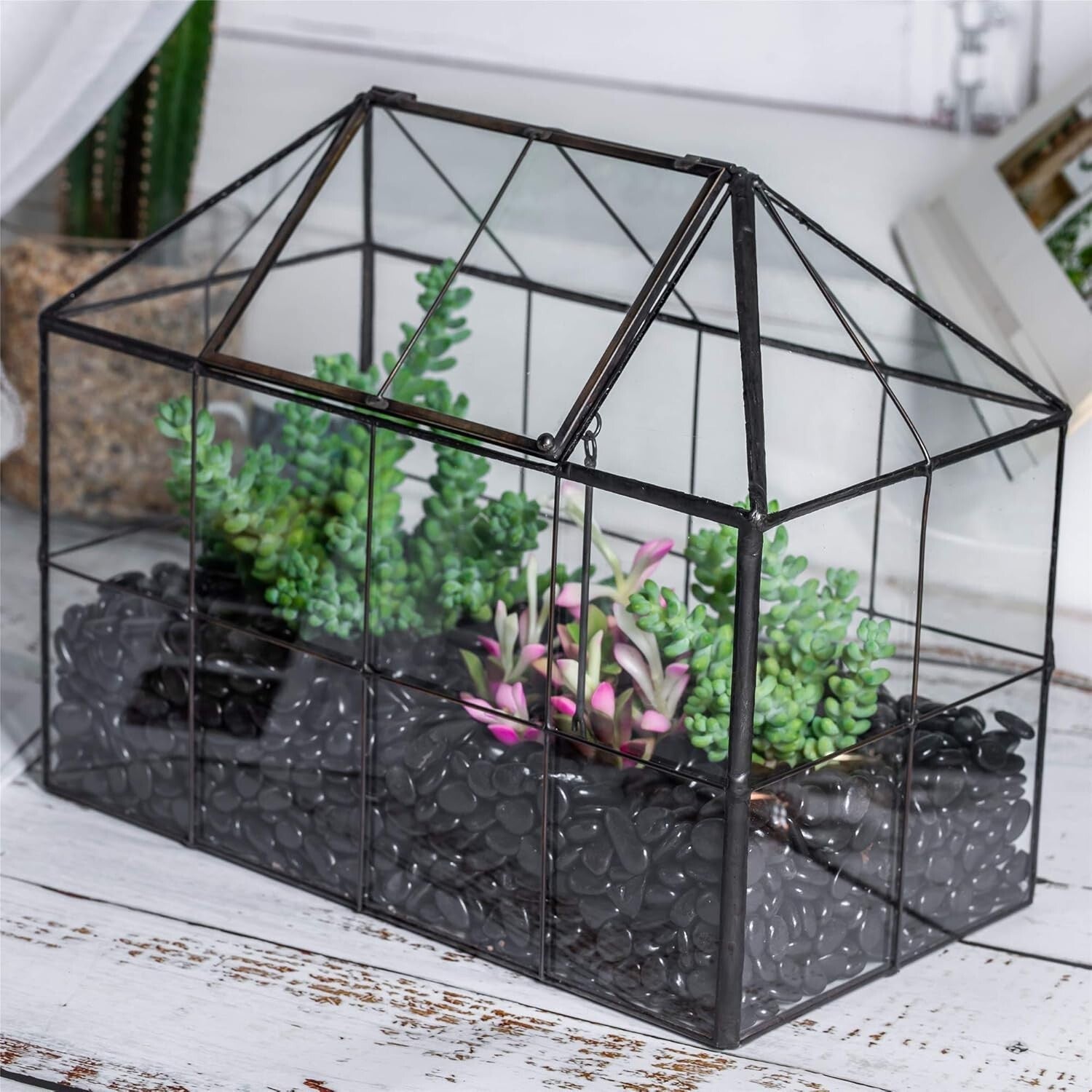 9.84 x 5.31 x 7.87 Black Glass Terrarium - Perfect for Indoor Cacti & Succulents