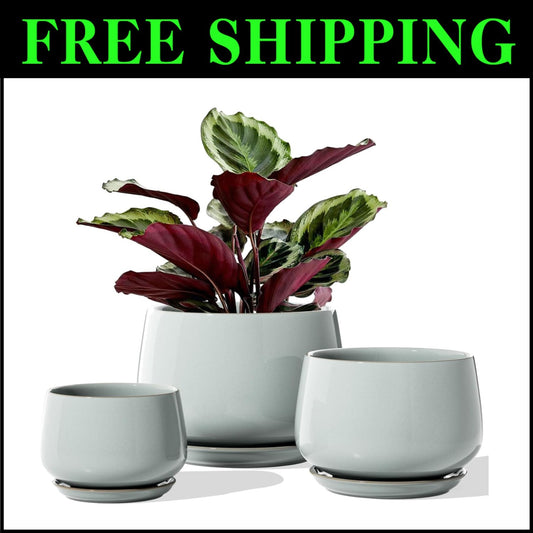 Durable Decorative Indoor Pots - Modern Ceramic Set with Saucer & Drainage Pads