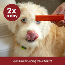 Load image into Gallery viewer, Veterinarian-Formulated Brushless Dog Toothpaste Chews for Medium Breeds 54oz