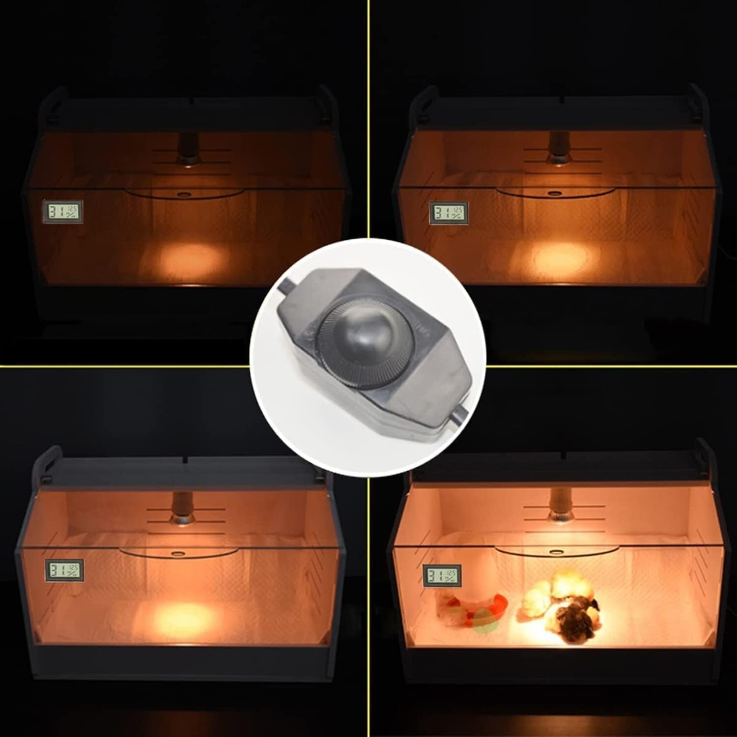 Cozy Heating Incubator for Chicks & Small Pets - Quick Preheat & Durable Design