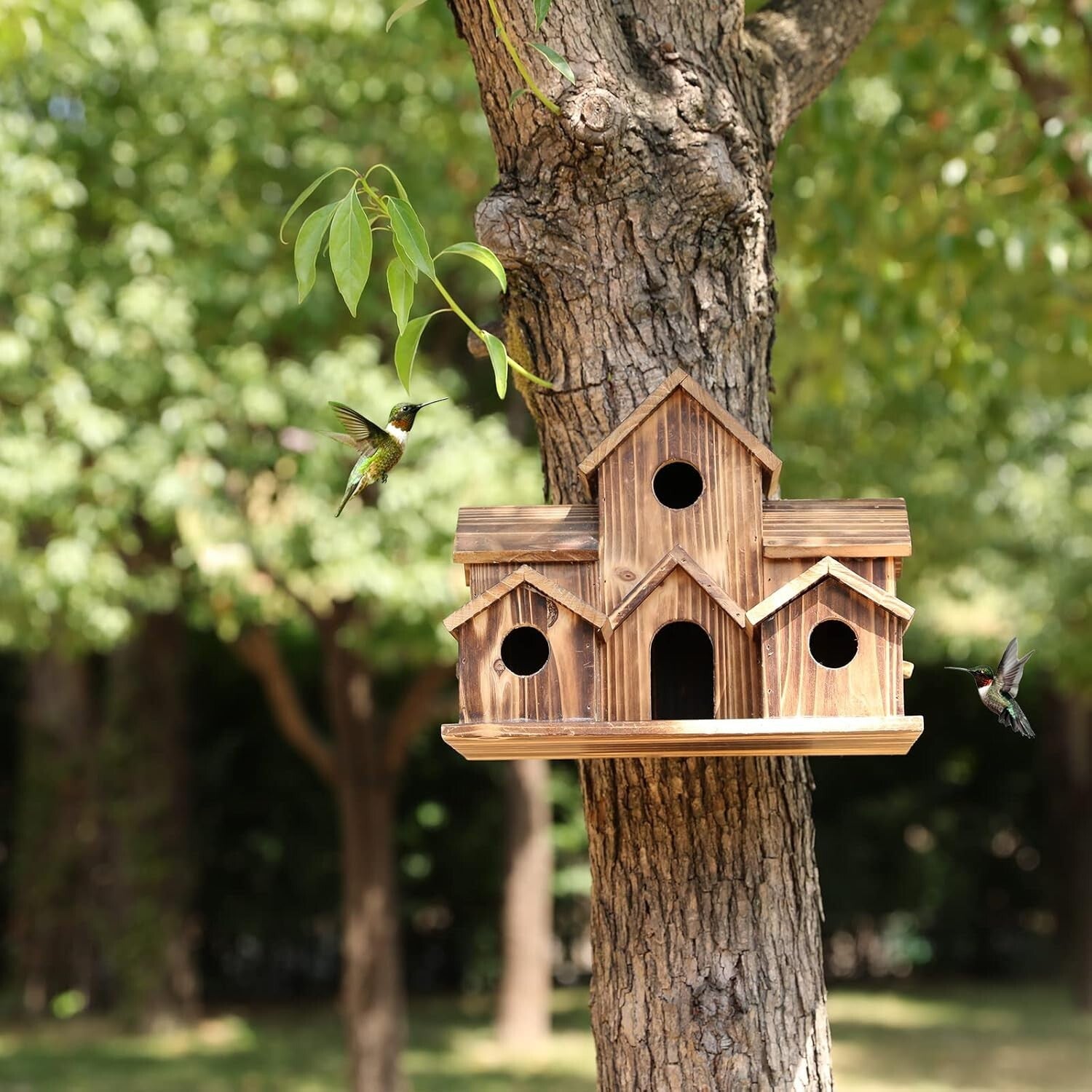 Durable Large Birdhouse for Garden – Accommodates 6 Families in Natural Cedar