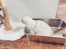 Load image into Gallery viewer, Eco-Friendly Large Cat Litter Pan - Stain-Free, Easy to Clean, Safe Design