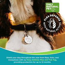 Load image into Gallery viewer, Lightweight Water-Resistant Pet Collar Tag for Year-Round Protection - 12 Months