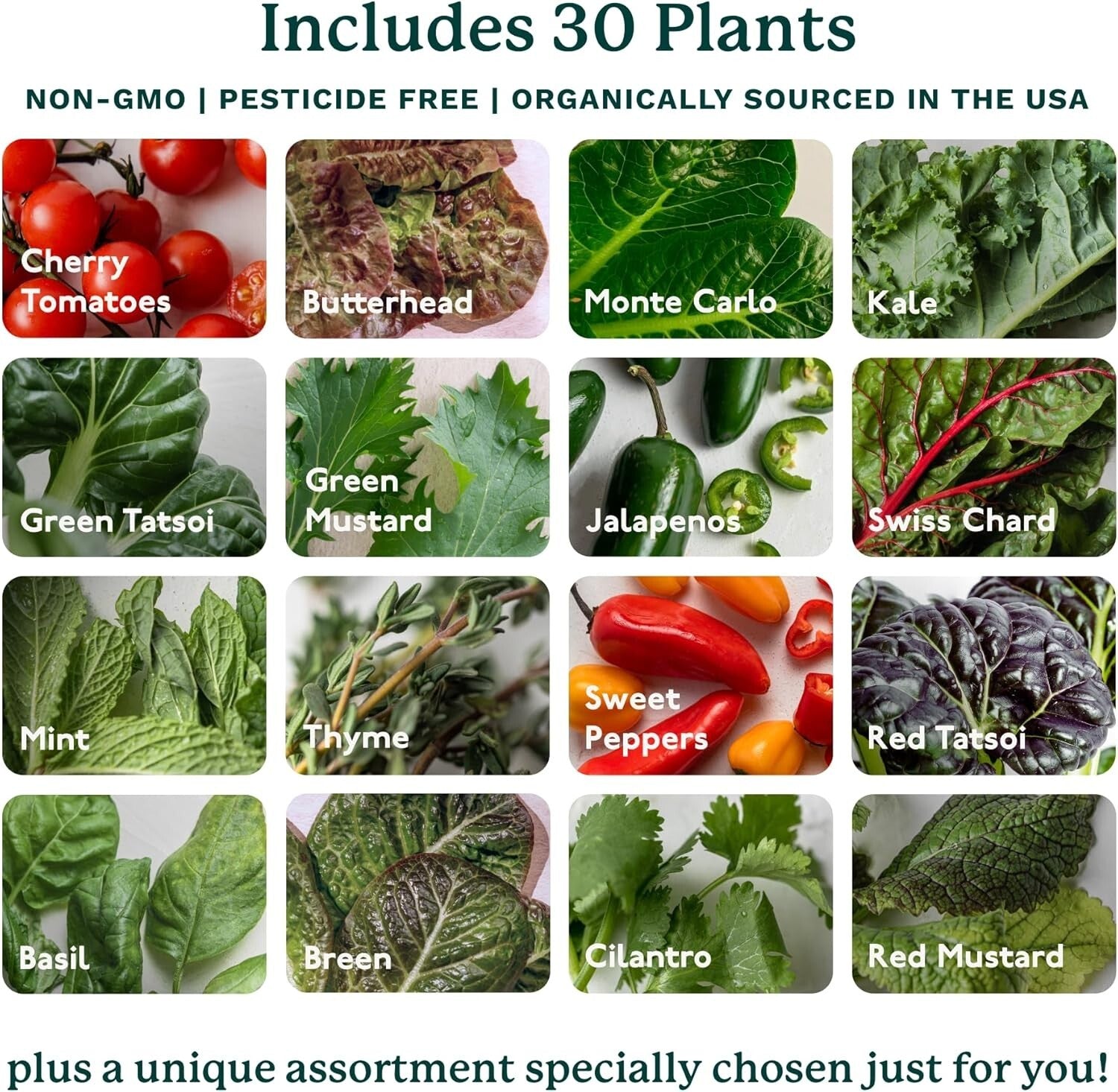 Sustainable 4.0 Hydroponics Kit - 30 Non-GMO Plants for Indoor Gardening Delight