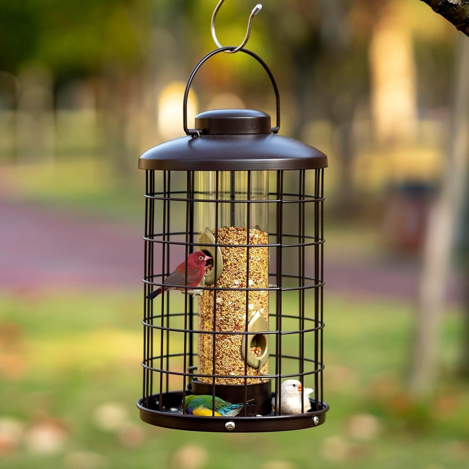Caged Bird Feeder with Adjustable Feeding Ports - Squirrel-Proof Design, 3 lbs