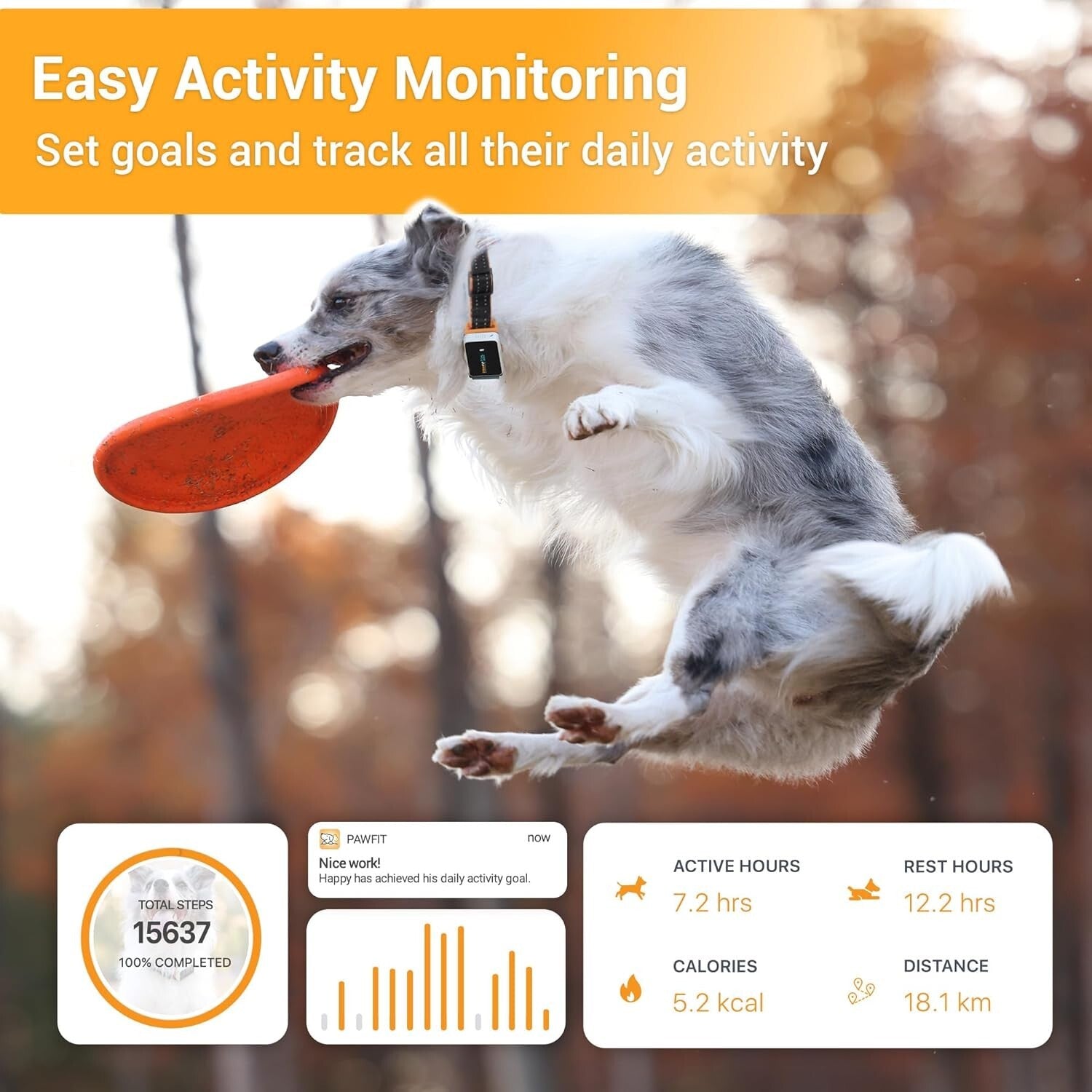All-in-One GPS Dog Tracker: IP68 Waterproof, Live Tracking & Activity Monitor
