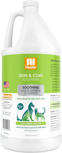 Load image into Gallery viewer, Vegan-Friendly Aloe &amp; Oatmeal Shampoo for Dogs &amp; Cats - 1 Gallon Cucumber Melon