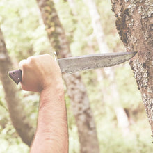 Load image into Gallery viewer, Rust-Resistant 9" Blade Fixed Outdoor Knife with Walnut Handle &amp; Leather Sheath