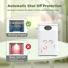 Load image into Gallery viewer, 75oz Ultra-Quiet Dehumidifier with 7 Colors LED, Perfect for Small Spaces