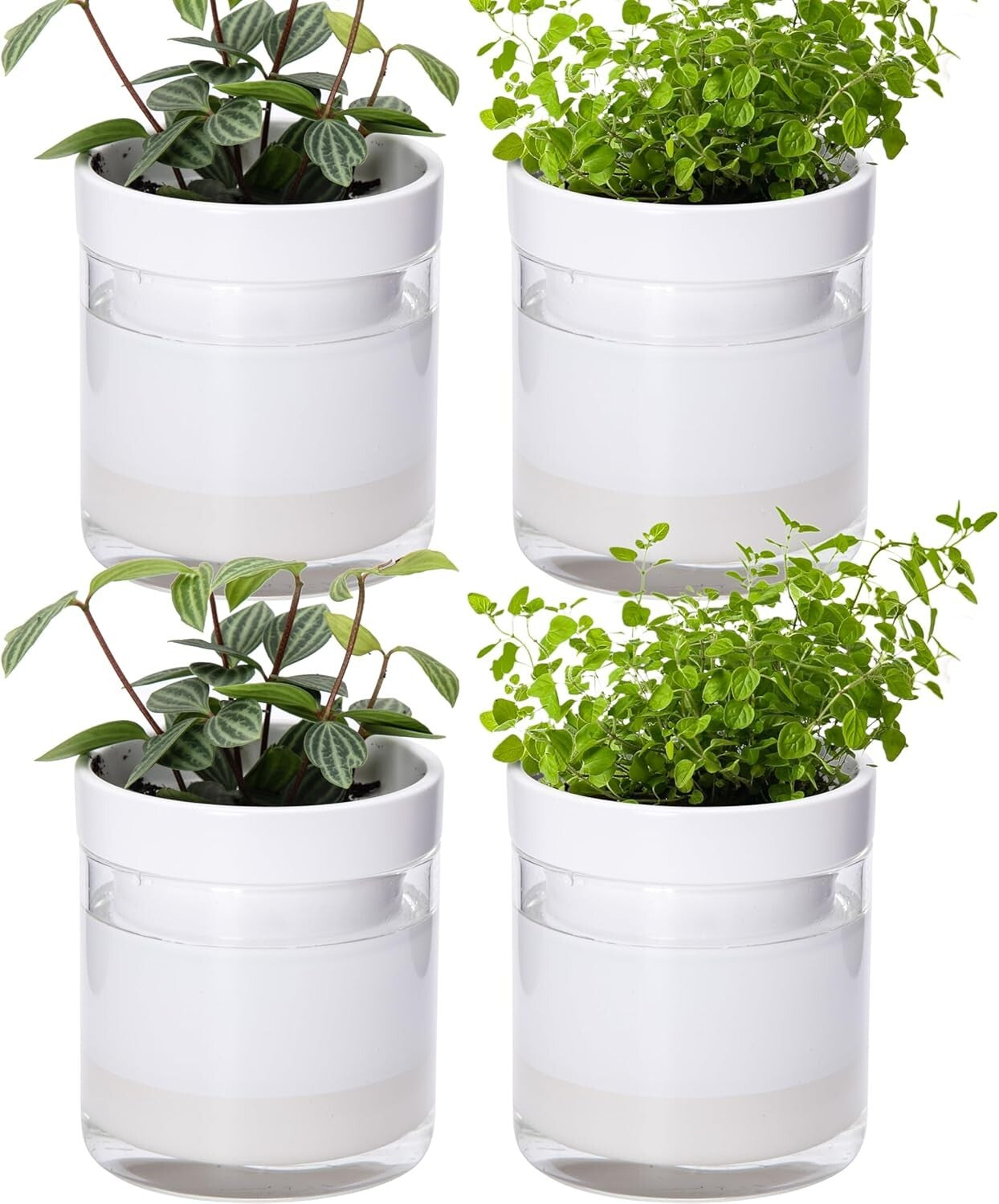Elegant Cylindrical Self-Watering Planters: Terracotta & Glass - Set of Four