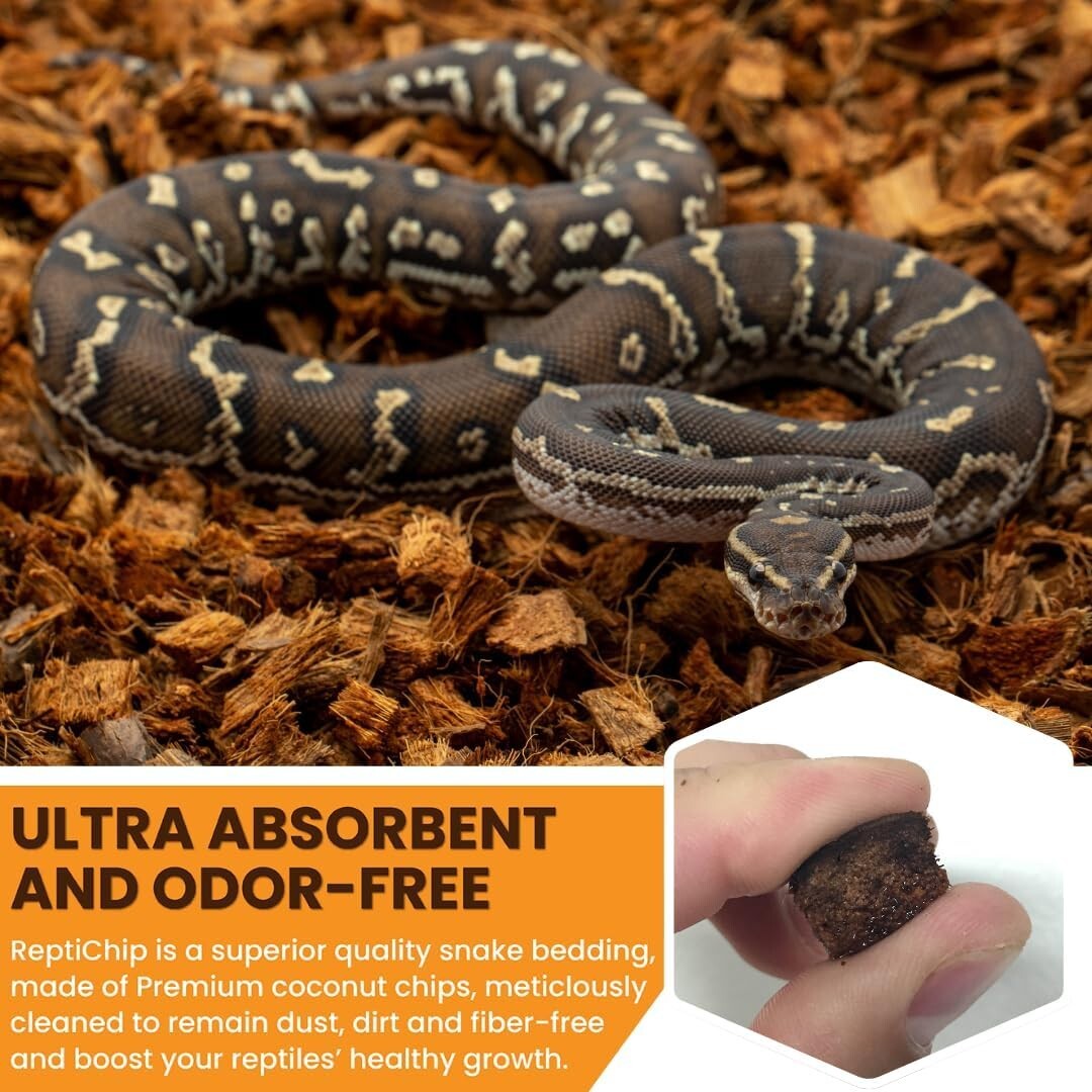 Dust-Free 36 Quart Premium Coconut Chip Bedding for Healthy Reptile Environments