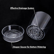 Load image into Gallery viewer, Durable Acrylic Orchid Pots with Drainage Holes - Clear 6.5 Inch Planter Set
