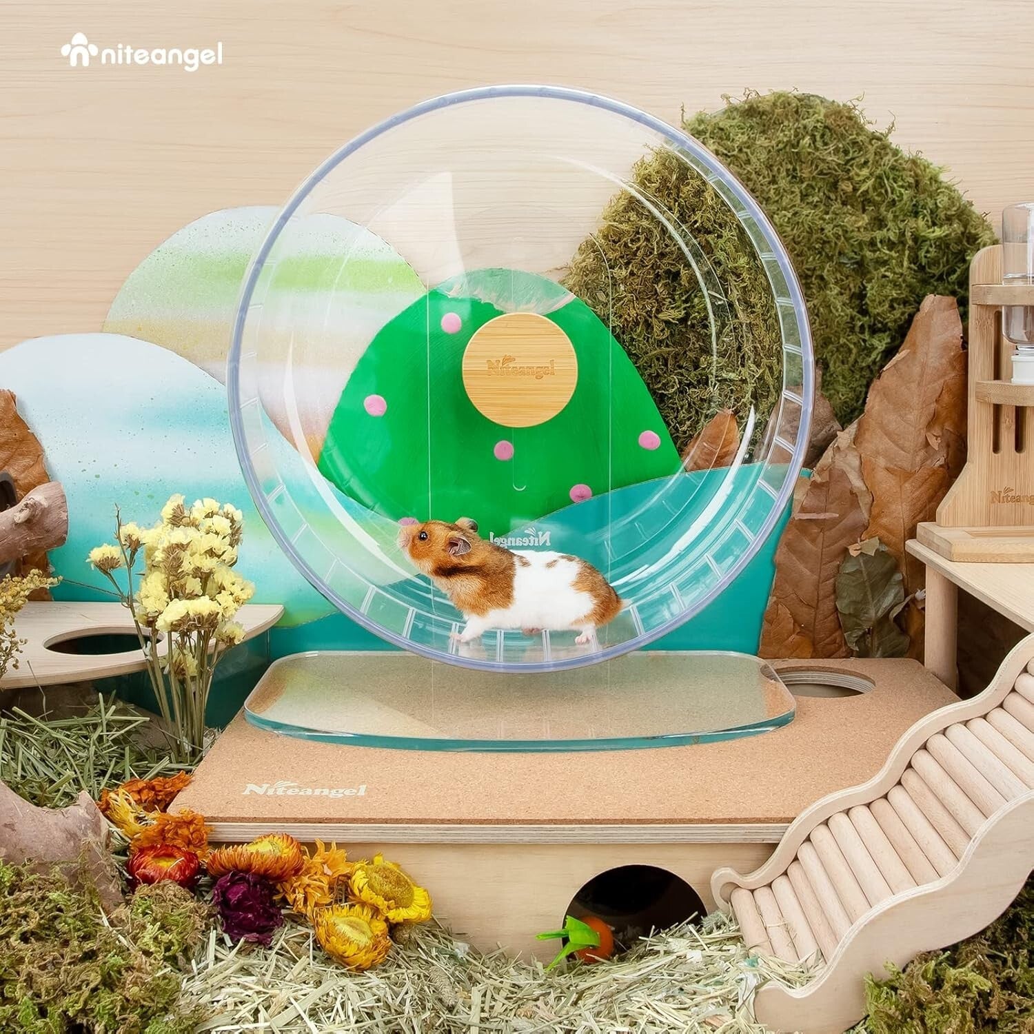 Extra Large Quiet Hamster Exercise Wheel with Adjustable Stand for Small Pets