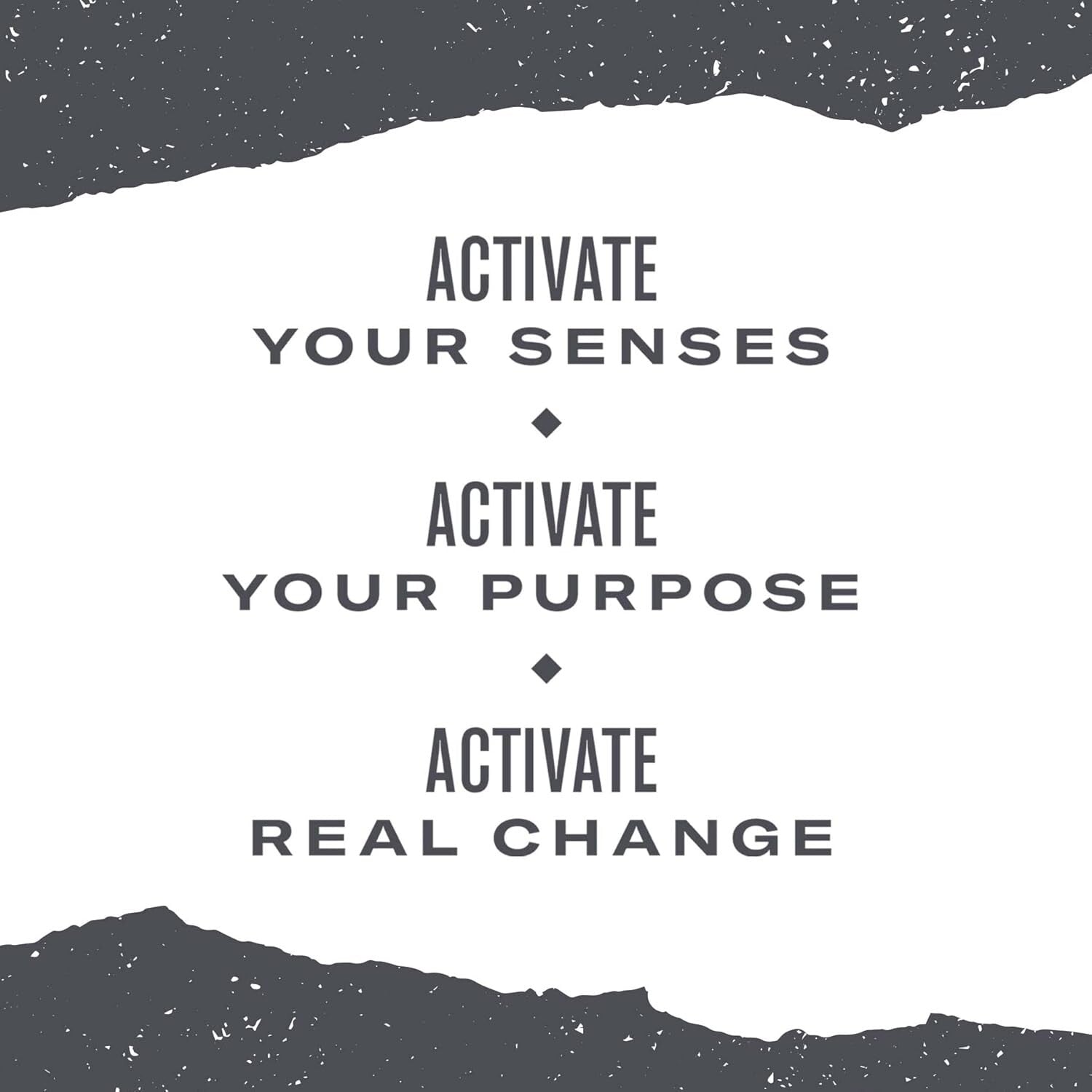 Rediscover Flavor with Organic 16 Ounce Ti Kuan Yin Oolong Loose Leaf Tea