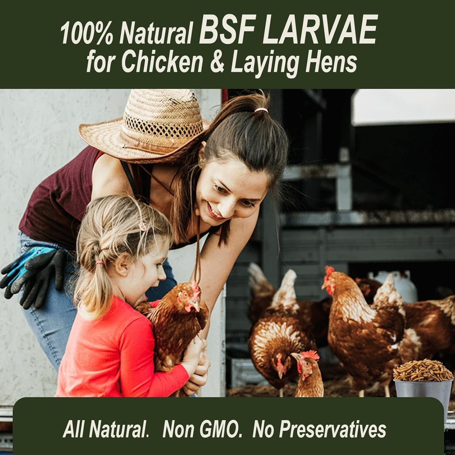 Sustainable 10LB Dried Black Soldier Fly Larvae - Premium Nutrition for All Pets