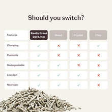 Load image into Gallery viewer, Really Great Cat Litter - 2 Bags, 9.25 lbs Each, Eco-Friendly, Dust-Free Formula