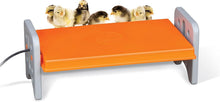 Load image into Gallery viewer, Thermo-Poultry 40W Brooder Heater for Up to 30 Chicks - MET Certified Safety