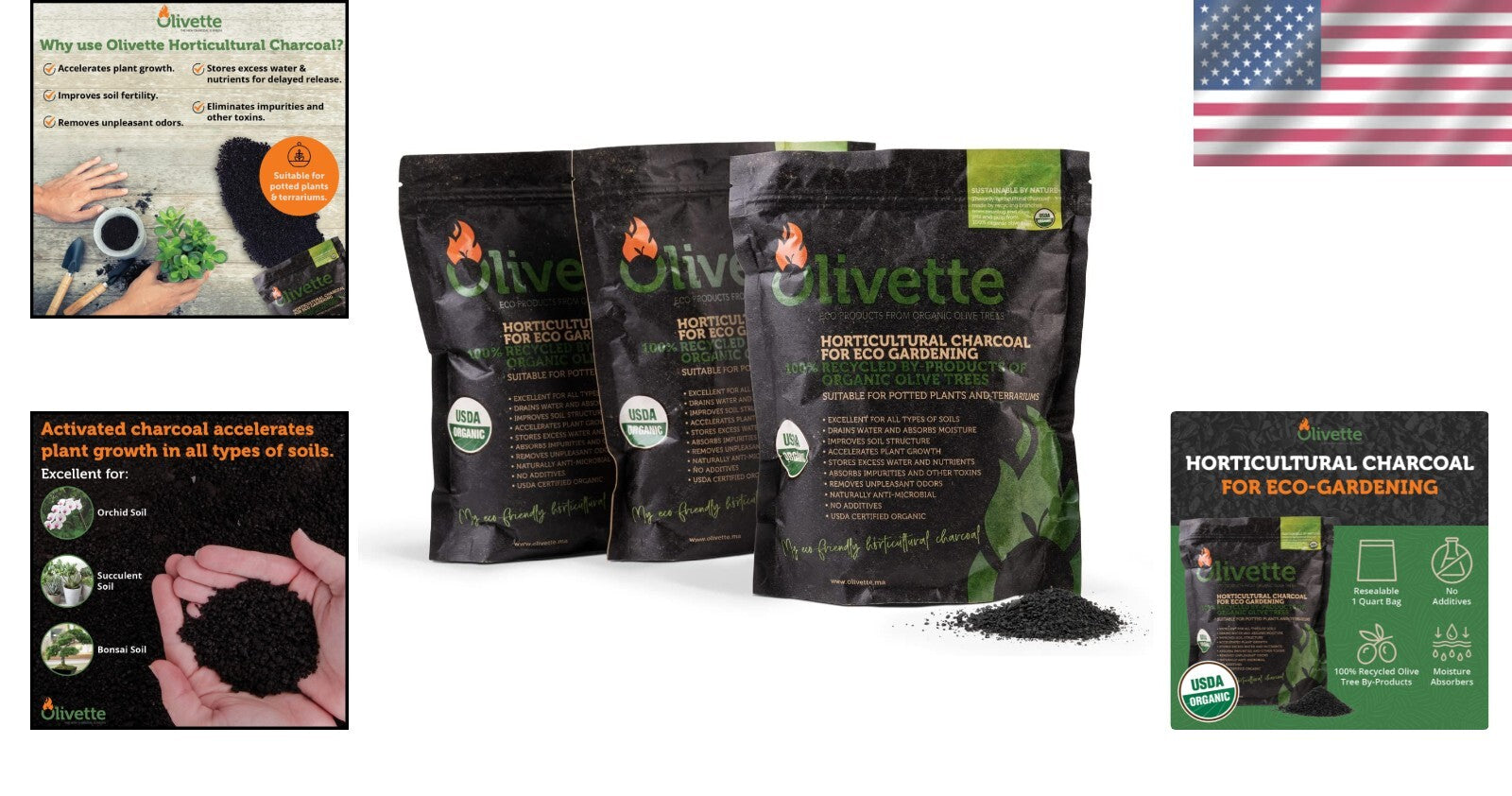 Eco-Friendly Activated Charcoal for Terrariums - Nourish Your Plants Naturally