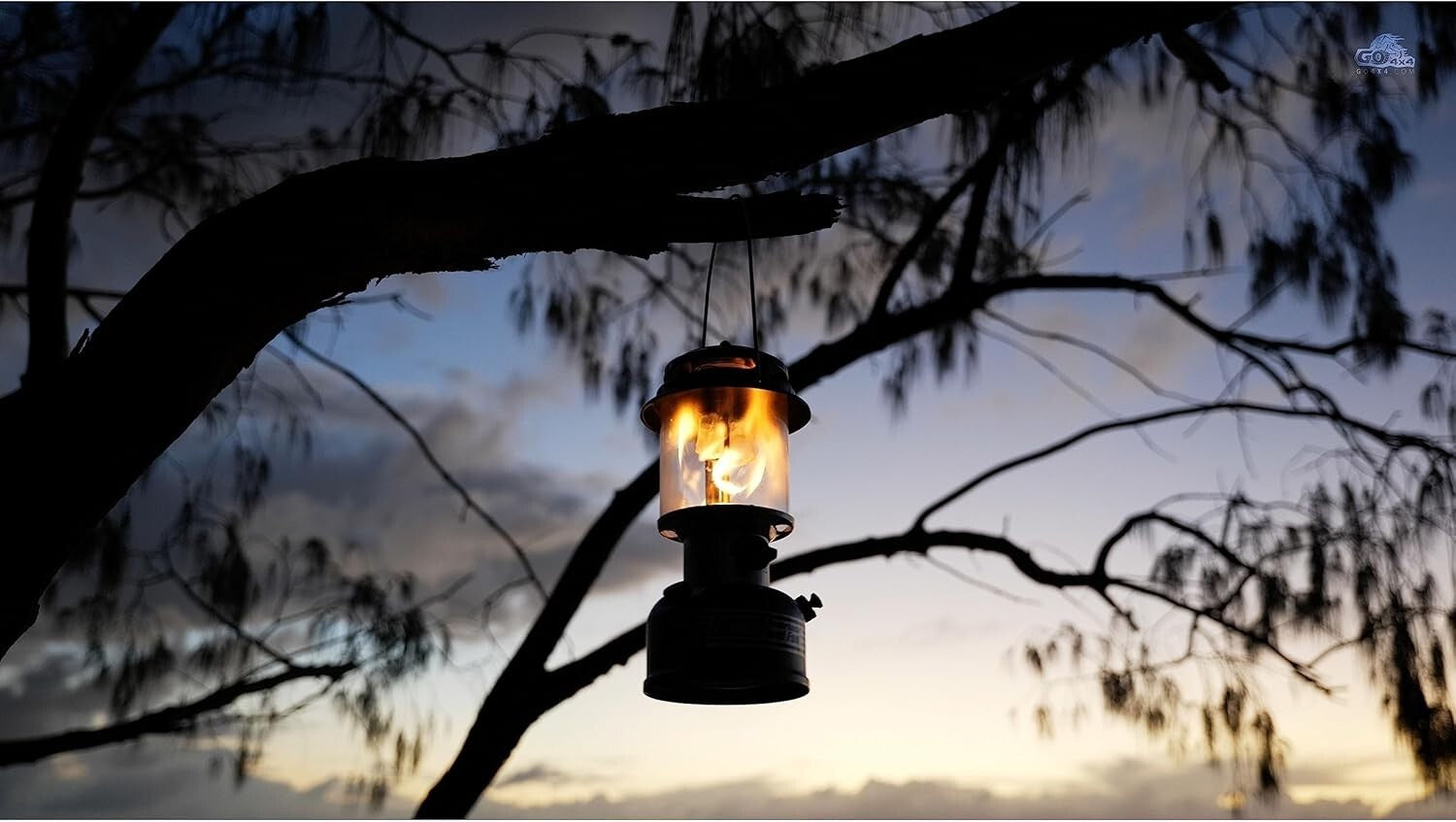 Portable Dual-Fuel Lantern: 800 Lumens, 20-Hour Operation & Easy Carry Handle