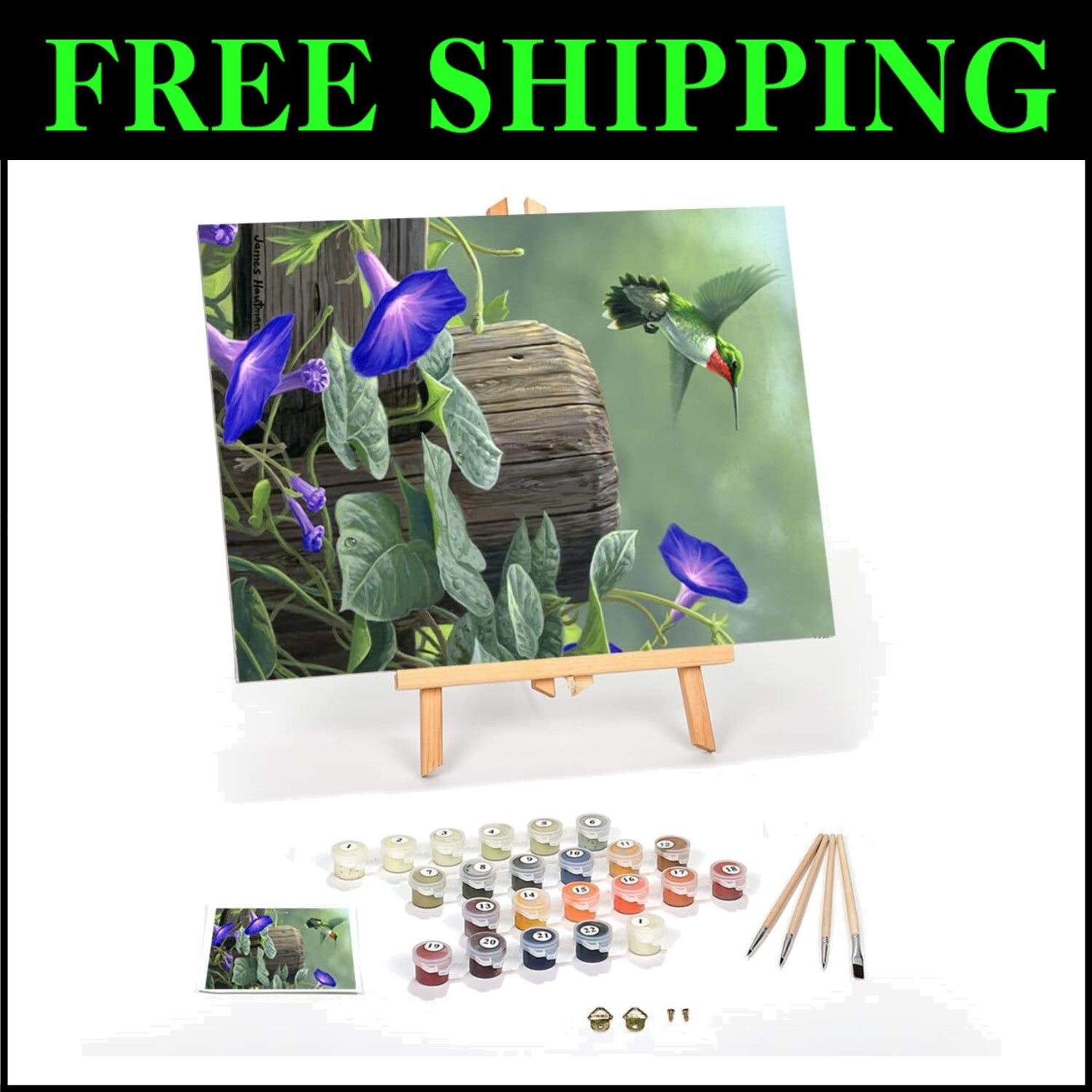 DIY Paint by Numbers Hummingbird Kit - Complete Set with Acrylic Paint & Easel