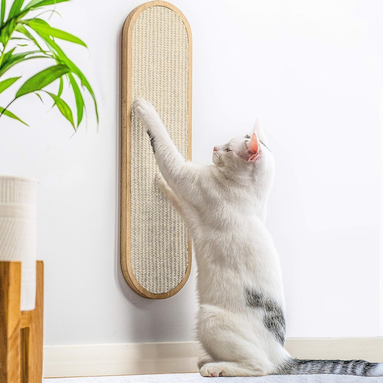 Sturdy Modern Cat Scratcher - Adjustable Height for All Breeds - Cream Color
