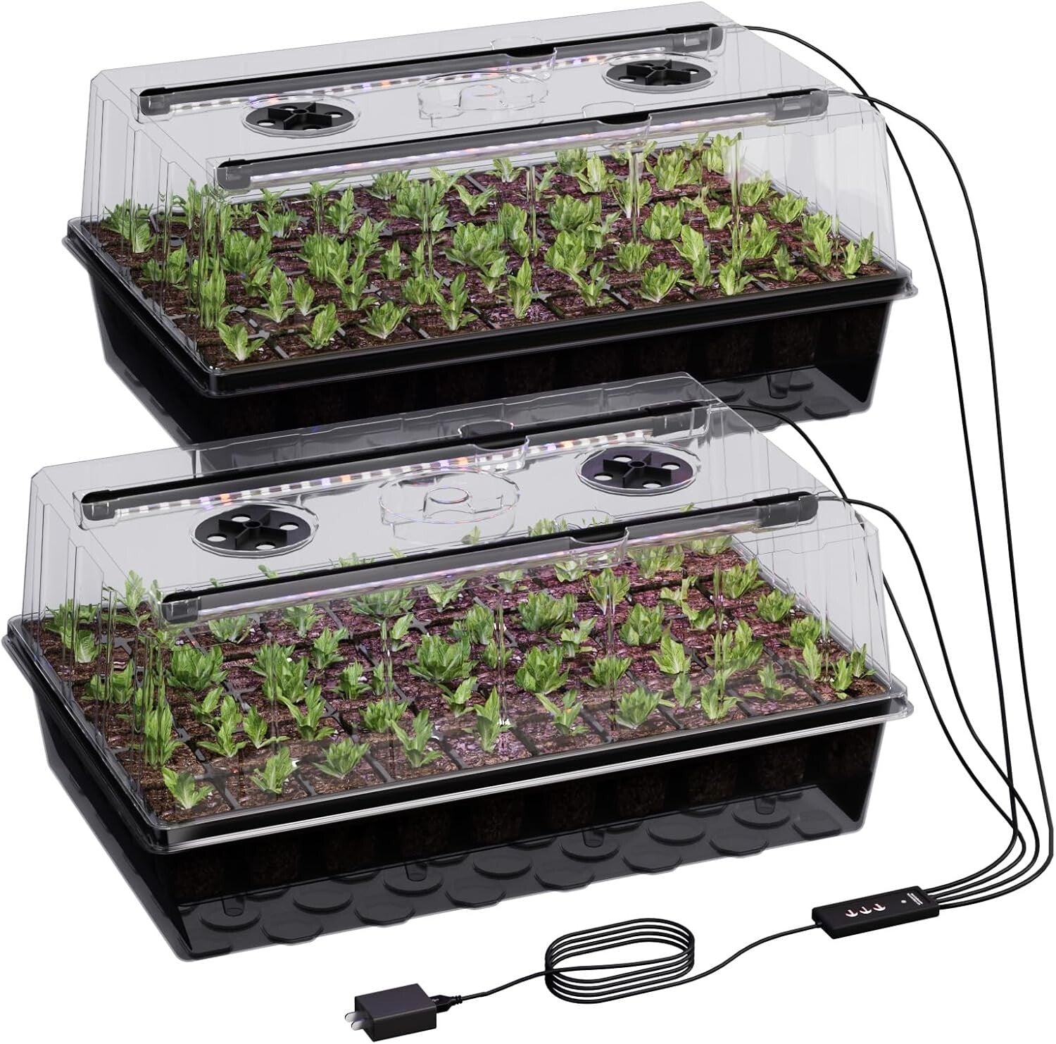 120-Cell Self-Watering Seed Starter Tray with Grow Light - Indoor Gardening Kit