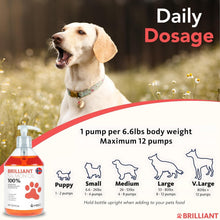 Load image into Gallery viewer, Omega 3 Salmon Oil for Dogs - Natural Supplement for Coat &amp; Joint Health, 32.8oz