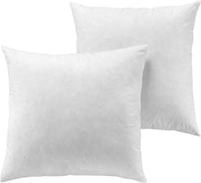 Load image into Gallery viewer, Set of 2 - 22x22 White Feather Down Decorative Pillow Inserts - Soft &amp; Washable