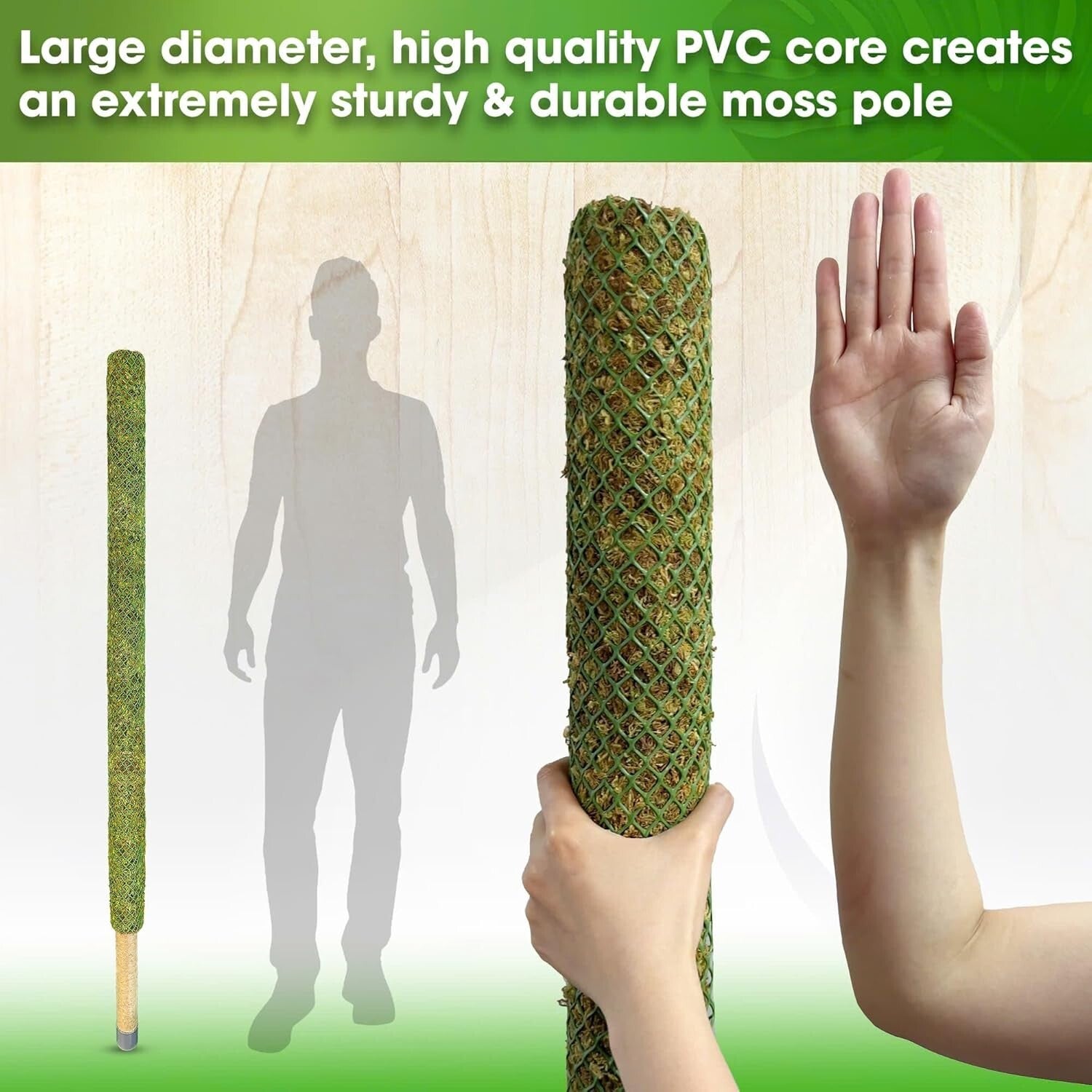 Natural 59’’ Moss Pole for Tall Plants - Sturdy Support for Climbing Growth