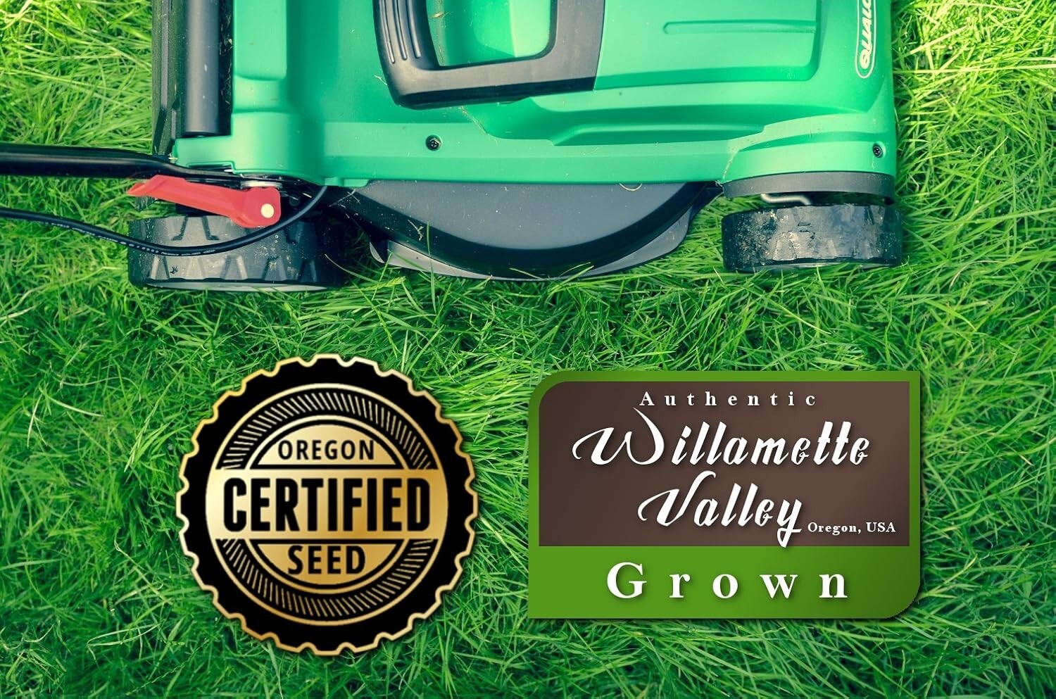 Drought-Tolerant Kentucky 31 Tall Fescue Grass Seed - 10lbs for Resilient Lawns