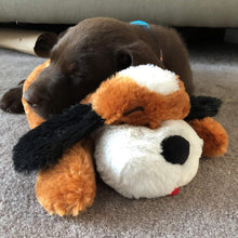 Load image into Gallery viewer, Machine Washable Snuggle Puppy - Heartbeat Toy for Behavioral Training &amp; Comfort