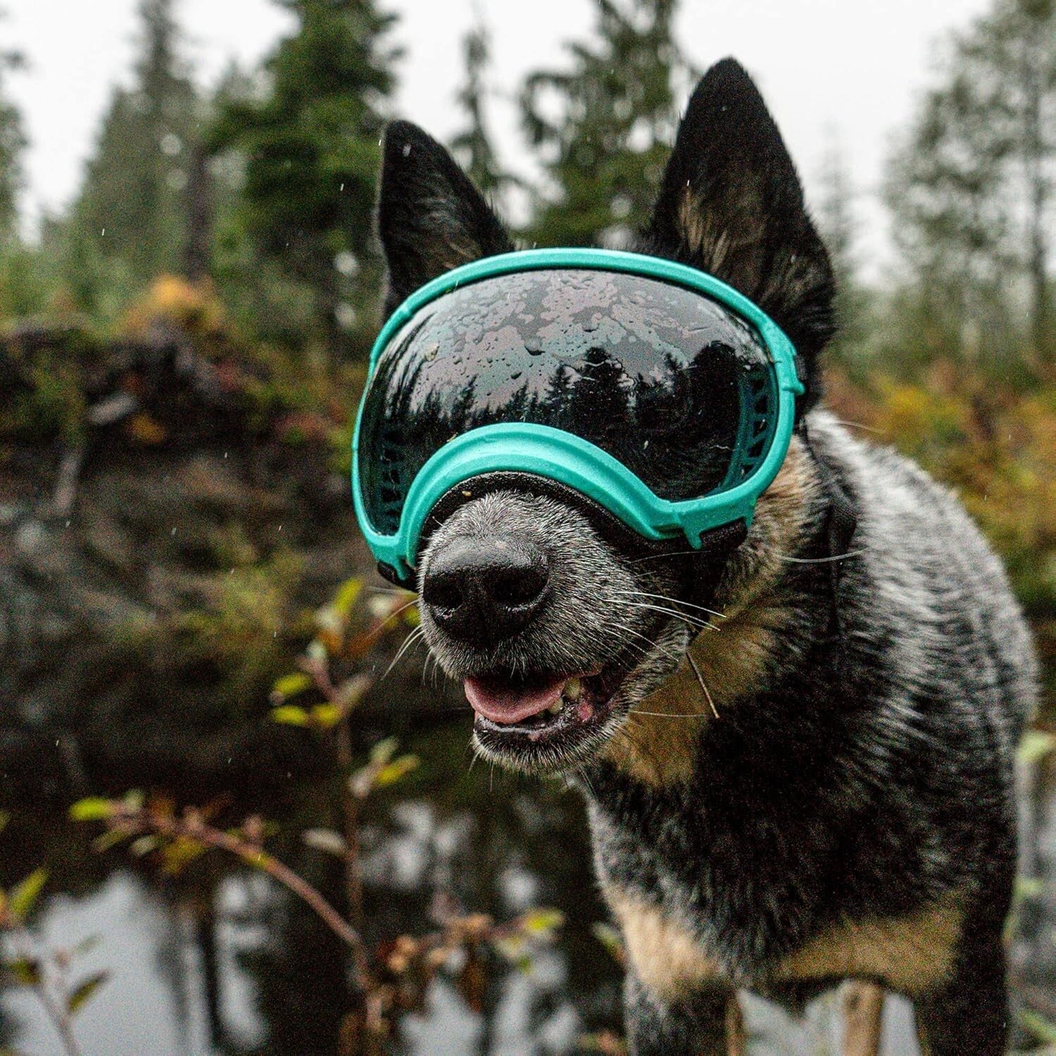 V2 X-Large Dog Goggles in Black - Protective Eyewear for Active Pups