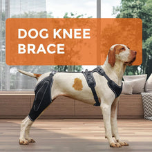 Load image into Gallery viewer, Adjustable Dog Knee Brace for Torn ACL &amp; Luxating Patella – Medium Size
