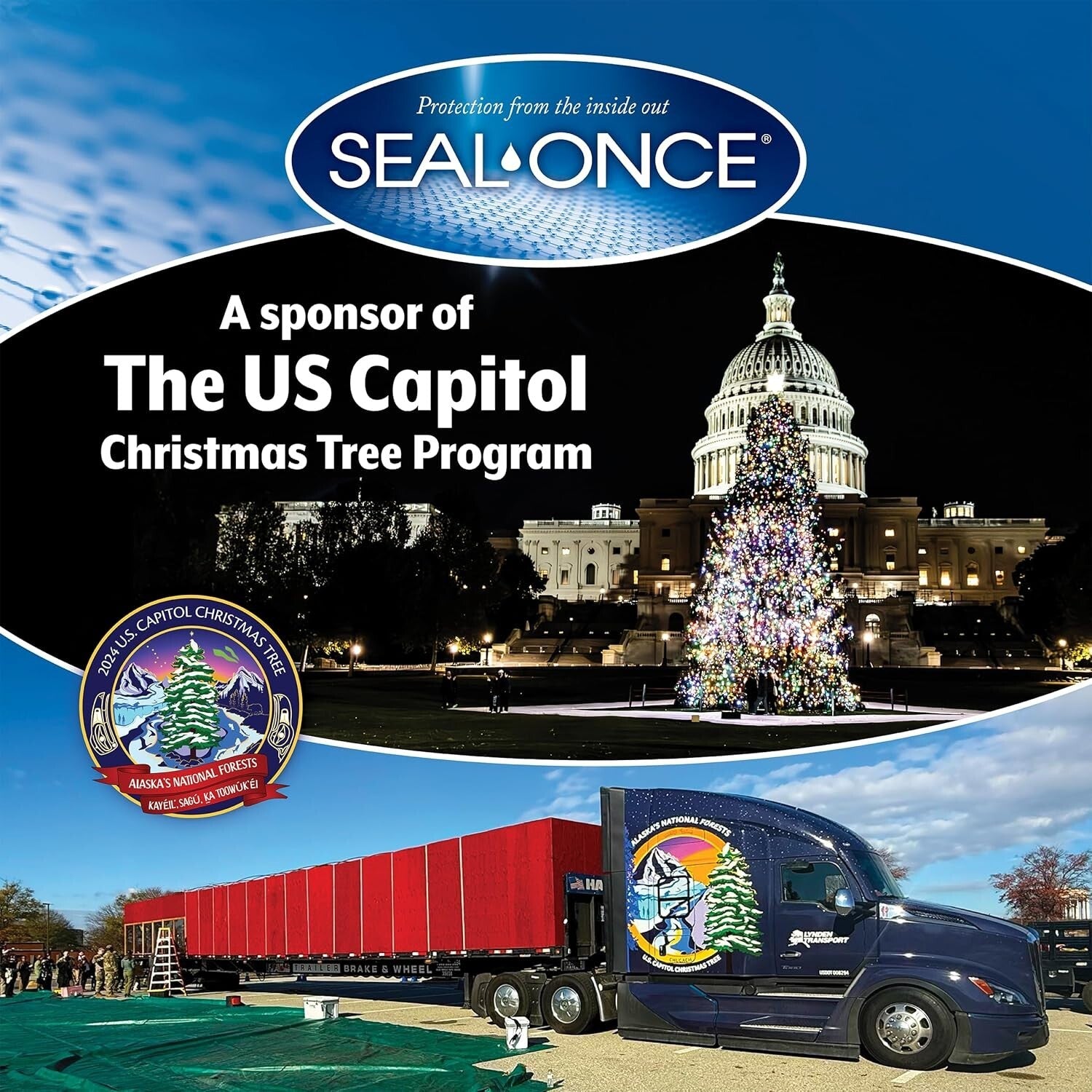 Clear Water-Resistant Polyurethane Wood Sealer for Floors & Furniture - 1 Gallon