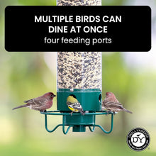 Load image into Gallery viewer, Heavy-Duty Squirrel-Proof Bird Feeder for Cardinals and More - 5Lbs Seed Holding