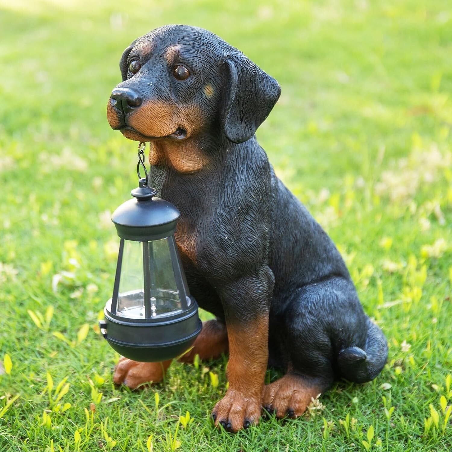 Charming Rottweiler Statue with Solar LED for All-Season Outdoor Decoration