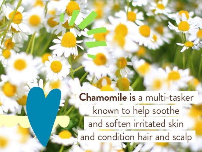 Babo Botanicals Continuous Sunscreen Spray - Ideal for Sensitive Skin & Families